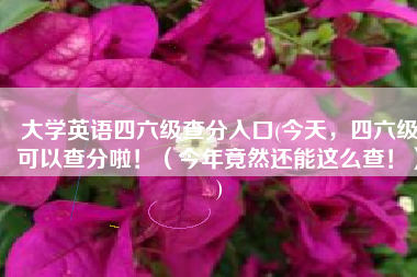 大学英语四六级查分入口(今天，四六级可以查分啦！（今年竟然还能这么查！）)