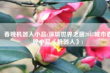 春晚机器人小品(深圳世界之窗2017城市春晚小品《机器人》)