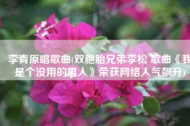李青原唱歌曲(双胞胎兄弟李松 歌曲《我是个没用的男人》荣获网络人气飙升)