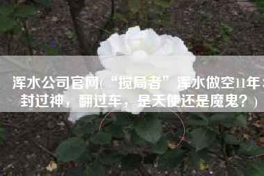 浑水公司官网(“搅局者”浑水做空11年：封过神，翻过车，是天使还是魔鬼？)