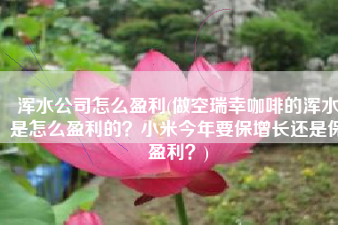 浑水公司怎么盈利(做空瑞幸咖啡的浑水是怎么盈利的？小米今年要保增长还是保盈利？)
