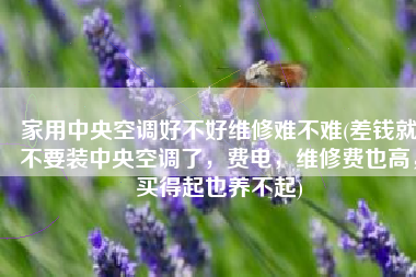 家用中央空调好不好维修难不难(差钱就不要装中央空调了，费电，维修费也高，买得起也养不起)