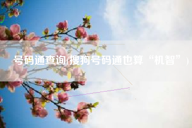 号码通查询(搜狗号码通也算“机智”)