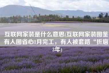 互联网家装是什么意思(互联网家装图鉴：有人图省心1月完工，有人被套路“折磨”3年)
