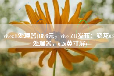 vivoz1i处理器(1898元，vivo Z1i发布：骁龙636处理器，6.26英寸屏)