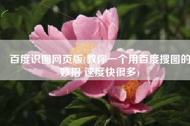 百度识图网页版(教你一个用百度搜图的妙招 速度快很多)