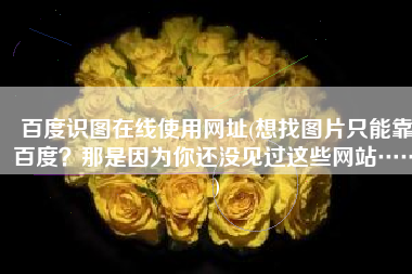 百度识图在线使用网址(想找图片只能靠百度？那是因为你还没见过这些网站……)