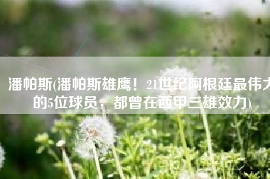 潘帕斯(潘帕斯雄鹰！21世纪阿根廷最伟大的5位球员，都曾在西甲三雄效力)