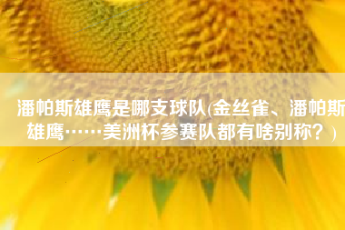 潘帕斯雄鹰是哪支球队(金丝雀、潘帕斯雄鹰……美洲杯参赛队都有啥别称？)