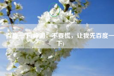 百度一下(神图：不要慌，让我先百度一下)