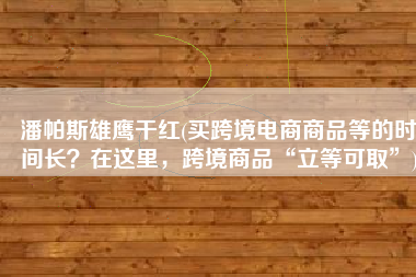 潘帕斯雄鹰干红(买跨境电商商品等的时间长？在这里，跨境商品“立等可取”)