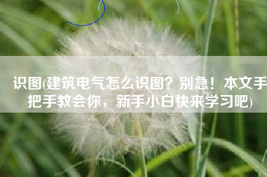 识图(建筑电气怎么识图？别急！本文手把手教会你，新手小白快来学习吧)
