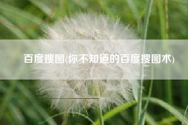 百度搜图(你不知道的百度搜图术)