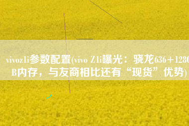vivoz1i参数配置(vivo Z1i曝光：骁龙636+128GB内存，与友商相比还有“现货”优势)