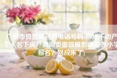 广州市房管局官网电话号码(广州不动产个人名下房产查询页面故障影响公办小学报名？回应来了)