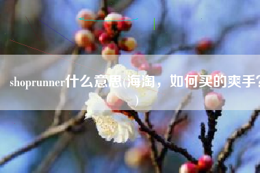 shoprunner什么意思(海淘，如何买的爽手？)