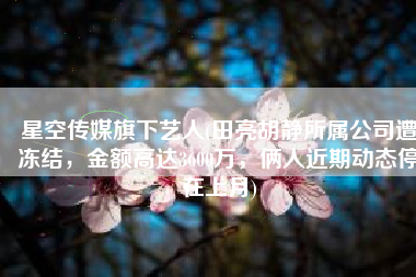 星空传媒旗下艺人(田亮胡静所属公司遭冻结，金额高达3600万，俩人近期动态停在上月)