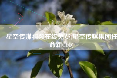 星空传媒视频在线免费(星空传媒集团任命新CEO)