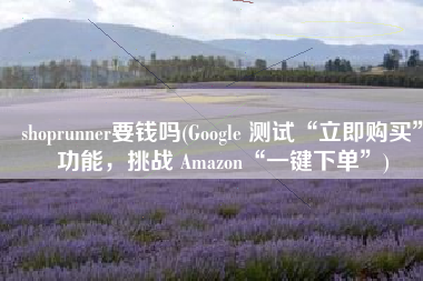 shoprunner要钱吗(Google 测试“立即购买”功能，挑战 Amazon“一键下单”)