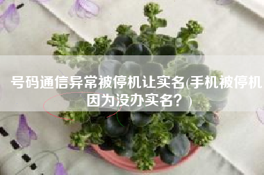 号码通信异常被停机让实名(手机被停机 因为没办实名？)