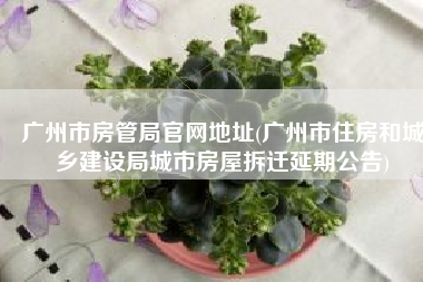 广州市房管局官网地址(广州市住房和城乡建设局城市房屋拆迁延期公告)