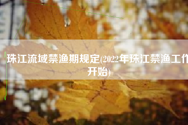 珠江流域禁渔期规定(2022年珠江禁渔工作开始)