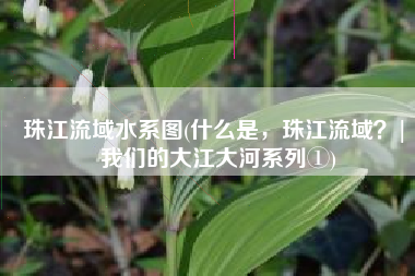珠江流域水系图(什么是，珠江流域？| 我们的大江大河系列①)