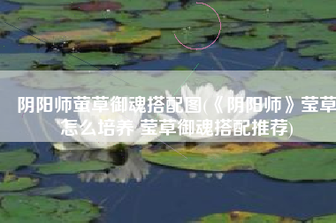 阴阳师萤草御魂搭配图(《阴阳师》莹草怎么培养 莹草御魂搭配推荐)