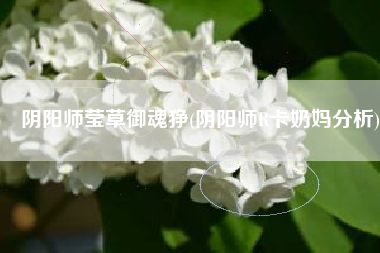 阴阳师莹草御魂狰(阴阳师R卡奶妈分析)