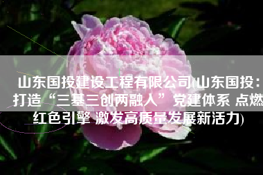 山东国投建设工程有限公司(山东国投：打造“三基三创两融入”党建体系 点燃红色引擎 激发高质量发展新活力)