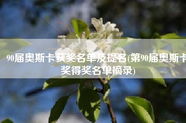 90届奥斯卡获奖名单及提名(第90届奥斯卡奖得奖名单摘录)