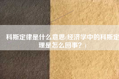 科斯定律是什么意思(经济学中的科斯定理是怎么回事？)