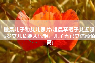 姚晨儿子和女儿照片(姚晨罕晒子女近照！5岁女儿长腿太惊艳，儿子五官立体颜值高)