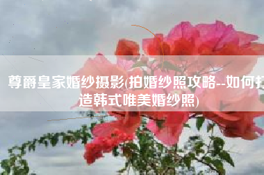 尊爵皇家婚纱摄影(拍婚纱照攻略--如何打造韩式唯美婚纱照)