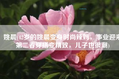 姚晨(42岁的姚晨变身时尚辣妈，事业迎来第二春穿搭变精致，儿子也很潮)