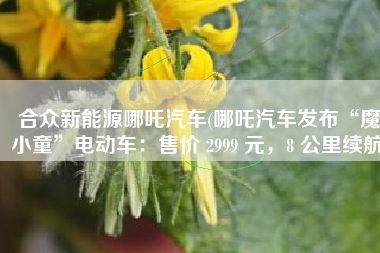 合众新能源哪吒汽车(哪吒汽车发布“魔小童”电动车：售价 2999 元，8 公里续航)