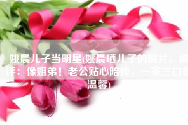 姚晨儿子当明星(姚晨晒儿子的照片，被评：像姐弟！老公贴心陪伴，一家三口很温馨)