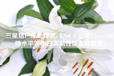 三星猎户座处理器(「SoC」三星Exynos1080啥水平？小白实测性能表现数据)