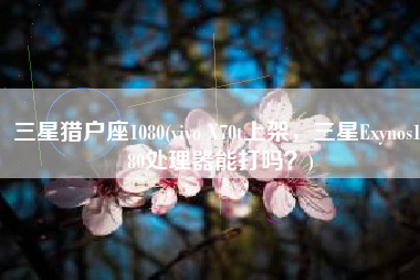 三星猎户座1080(vivo X70t上架，三星Exynos1080处理器能打吗？)