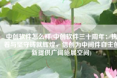 中创软件怎么样(中创软件三十周年：执着与坚守铸就辉煌，信创为中间件自主创新提供广阔施展空间)
