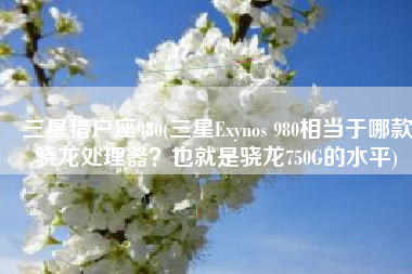 三星猎户座980(三星Exynos 980相当于哪款骁龙处理器？也就是骁龙750G的水平)