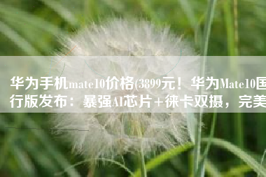 华为手机mate10价格(3899元！华为Mate10国行版发布：暴强AI芯片+徕卡双摄，完美)