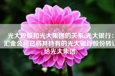 光大控股和光大集团的关系(光大银行：汇金公司已将其持有的光大银行股份转让给光大集团)
