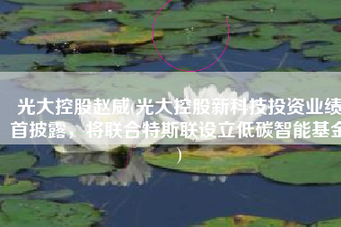 光大控股赵威(光大控股新科技投资业绩首披露，将联合特斯联设立低碳智能基金)