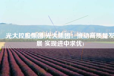 光大控股集团(光大集团：推动高质量发展 实现进中求优)