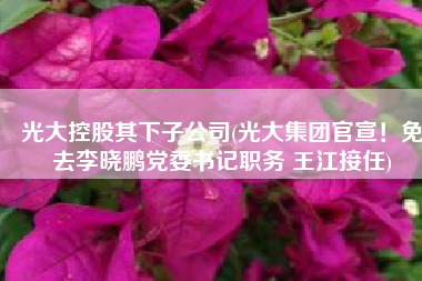 光大控股其下子公司(光大集团官宣！免去李晓鹏党委书记职务 王江接任)