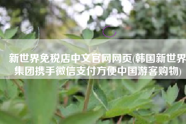 新世界免税店中文官网网页(韩国新世界集团携手微信支付方便中国游客购物)