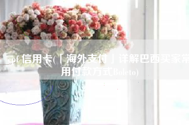 cpf 信用卡(「海外支付」详解巴西买家常用付款方式Boleto)