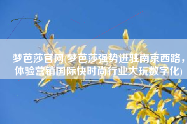 梦芭莎官网(梦芭莎强势进驻南京西路，体验营销国际快时尚行业大玩数字化)