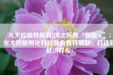 光大控股特斯联(国之所需“智能+”：光大控股孵化科技独角兽特斯联，打造新经济样板)